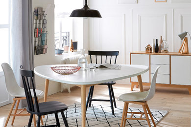 Idée de décoration pour une salle à manger nordique.