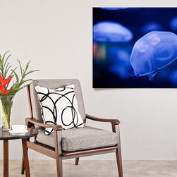 Jellyfish Collection - Prints And Posters