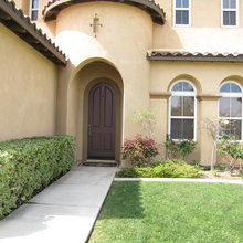 Landscape Ideas