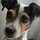 eva_jeadling