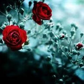 Foto de زمن الأقوياء