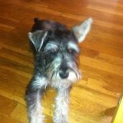 Mil Wolitz's photo