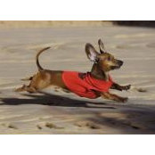 Deborah Korinek's photo