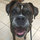 mandee_staton