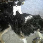 Bobbie Person's photo