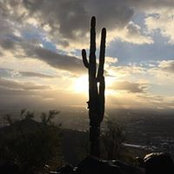 Lynne Cadigan's photo