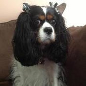 Rose Brophy's photo