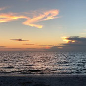 Anna Sikorski's photo