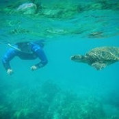 Leslie Pally's photo