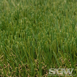 Imperial Fescue - Products
