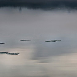 Photography - Photographs