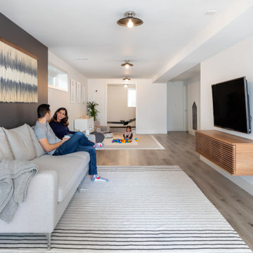 Magnolia Basement Remodel