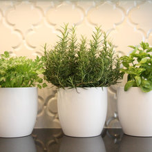 Savoury Six: Herbs to Jump-Start Your Edible Garden