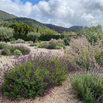 Jardín Mediterráneo Entre Los Viñedos