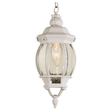 Trans Globe  Lighting, 4065 Parsons 21" Hanging Lantern, White