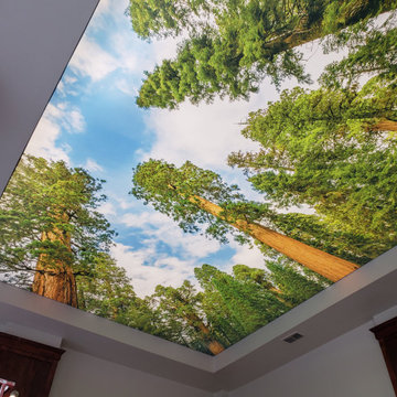 Large Backlit Ceiling