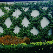 NB wall fountain east terrace