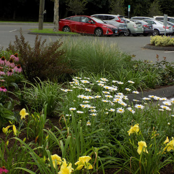 Pollinator Gardens in Public Commuter Lots