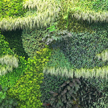 Aquaponics Living Walls