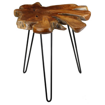 Bare Decor Evan Accent End Table With Solid Teak Root Top