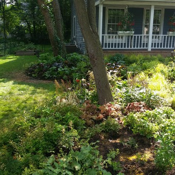 Rockford mulch-less front yard