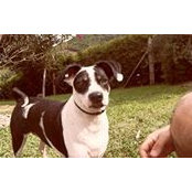 Andres Rojas's photo