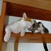 Barbara Gnagna's photo