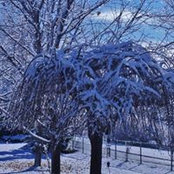 Cheryl Spickett's photo