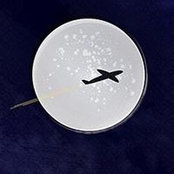 Shawn Olsen's photo