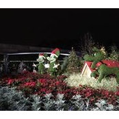 Ken Reeves's photo