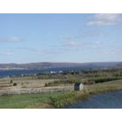 Carol Chasse's photo