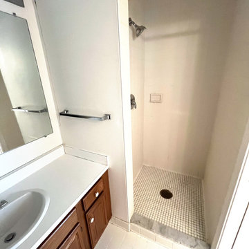 Primary Bathroom (Before)