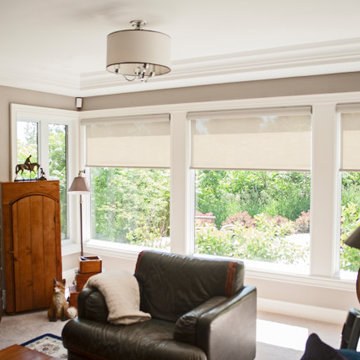 Roller Shades