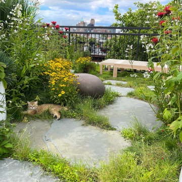 Green roof private townhouse Brooklyn, New York