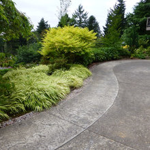 1225 driveway