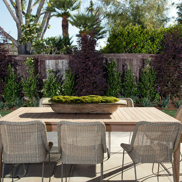 Contemporary Home With Organic Touches