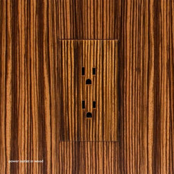 Invisible Outlets, Devices, and Architectural Elements - Switch Plates And Outlet Covers