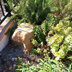 Ladera Ranch Complete Remodel - Home Electronics
