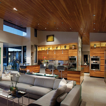 Desert Modern