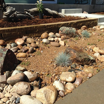 Rockscape / Xeriscape