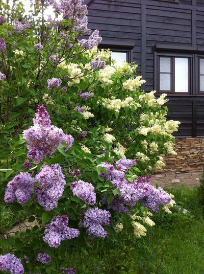 by Яна Иванченко