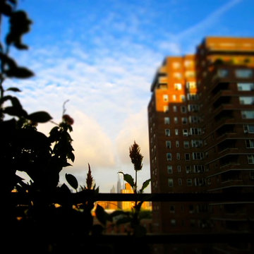 View from the patio