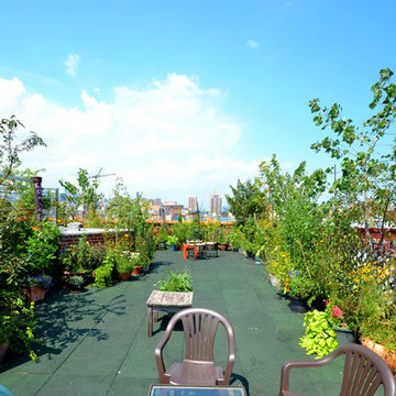 UMBRELLA HOUSE ROOFTOP GARDEN