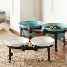 pet bowl stand