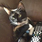 Lynn Johnson's photo