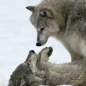 Jan Kuttner's photo
