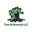 Tree M Removal LLC