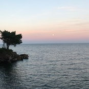 j getz - miller's photo