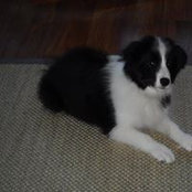 Ruth Ames's photo