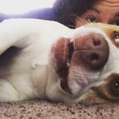 Katelyn Falcone's photo
